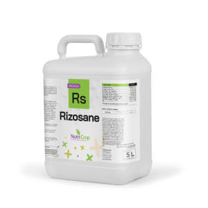 DEL’ RIZOSTAR 20L
